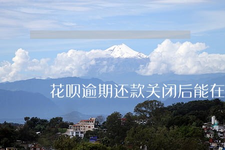 花呗逾期还款关闭后能在开吗 花呗逾期还款关闭后能在开吗
