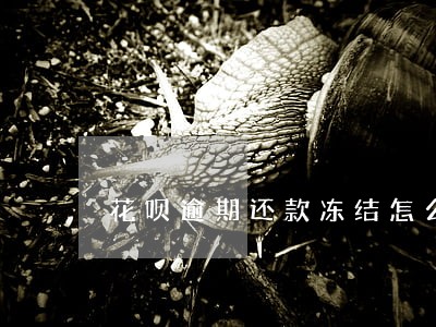 花呗逾期还款冻结怎么回事 花呗逾期还款冻结怎么回事