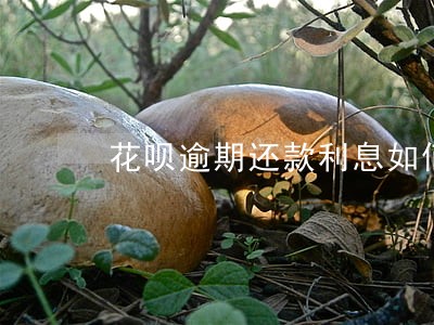 花呗逾期还款利息如何计算器 花呗逾期还款利息如何计算器