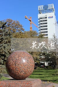 花呗逾期还款可以分期买车吗 花呗逾期还款可以分期买车吗