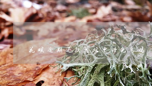 花呗逾期还款可以申请免息吗 花呗逾期还款可以申请免息吗
