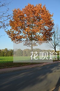 花呗逾期还款后不能提额度了 花呗逾期还款后不能提额度了