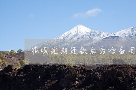 花呗逾期还款后为啥备用金用不了 花呗逾期还款后为啥备用金用不了