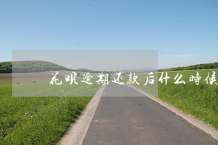 花呗逾期还款后什么时候能恢复 花呗逾期还款后什么时候能恢复