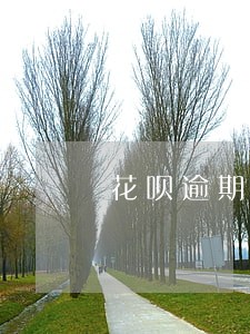 花呗逾期还款后会不会影响征信 花呗逾期还款后会不会影响征信