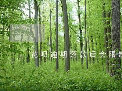 花呗逾期还款后会限制额度吗 花呗逾期还款后会限制额度吗