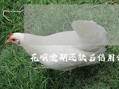 花呗逾期还款后信用分 花呗逾期还款后信用分