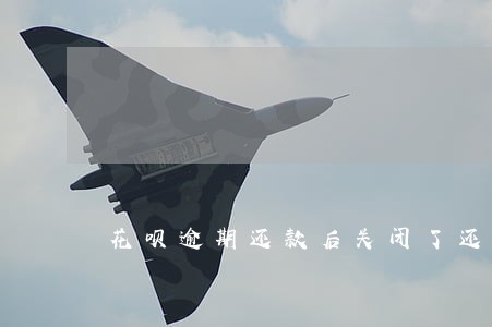 花呗逾期还款后关闭了还能开通吗 花呗逾期还款后关闭了还能开通吗