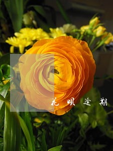 花呗逾期还款后剩余额度能不能用 花呗逾期还款后剩余额度能不能用