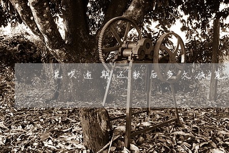 花呗逾期还款后多久恢复正常 花呗逾期还款后多久恢复正常