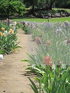 花呗逾期还款后多久能恢复使用 花呗逾期还款后多久能恢复使用