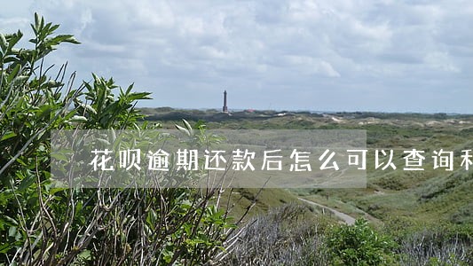 花呗逾期还款后怎么可以查询利息 花呗逾期还款后怎么可以查询利息