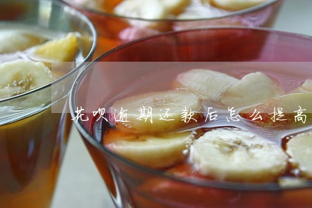 花呗逾期还款后怎么提高信用分