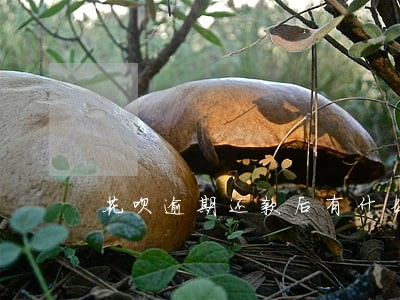 花呗逾期还款后有什么影响吗 花呗逾期还款后有什么影响吗