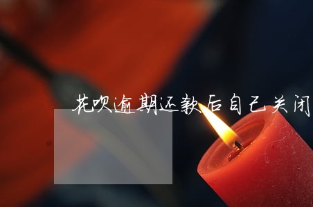 花呗逾期还款后自己关闭了怎么办 花呗逾期还款后自己关闭了怎么办