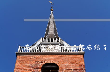 花呗逾期还款后被冻结了怎么办 花呗逾期还款后被冻结了怎么办