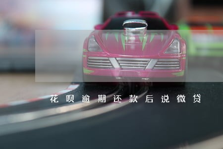 花呗逾期还款后说微贷 花呗逾期还款后说微贷