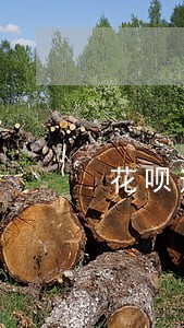 花呗逾期还款后还能恢复使用 花呗逾期还款后还能恢复使用