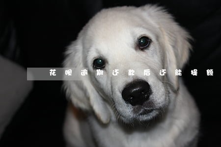 花呗逾期还款后还能提额度吗