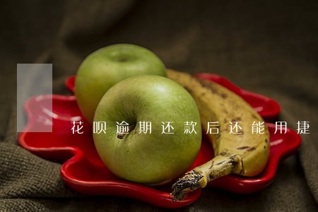花呗逾期还款后还能用捷信吗 花呗逾期还款后还能用捷信吗
