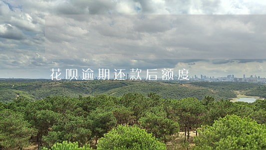 花呗逾期还款后额度 花呗逾期还款后额度