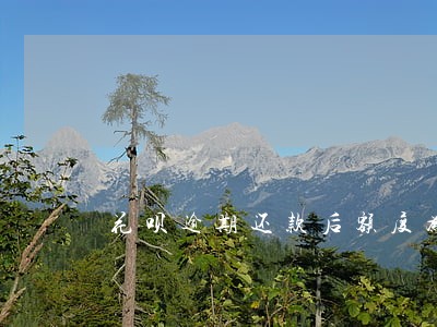 花呗逾期还款后额度为负数 花呗逾期还款后额度为负数