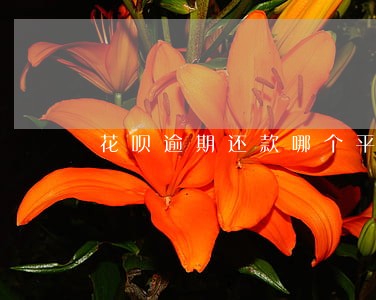 花呗逾期还款哪个平台可以借的 花呗逾期还款哪个平台可以借的