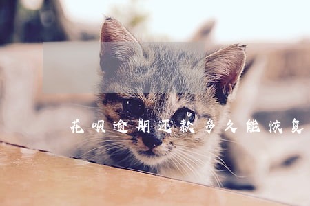 花呗逾期还款多久能恢复使用 花呗逾期还款多久能恢复使用