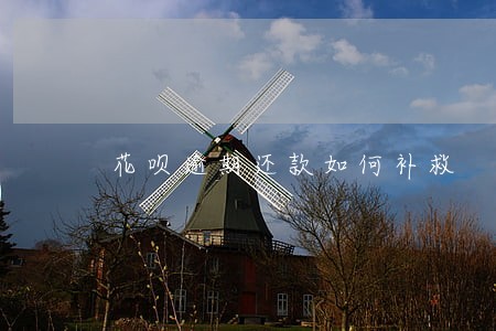 花呗逾期还款如何补救