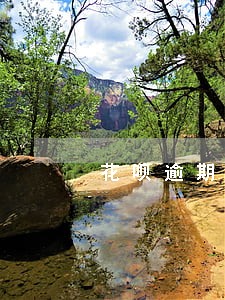 花呗逾期还款完冻结怎么解除 花呗逾期还款完冻结怎么解除