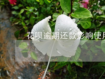 花呗逾期还款影响使用怎么办 花呗逾期还款影响使用怎么办