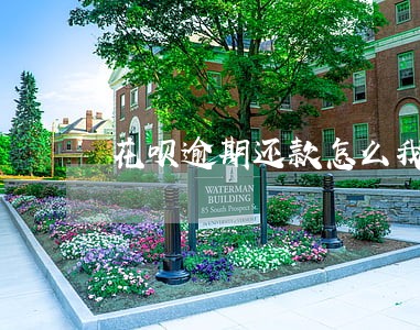 花呗逾期还款怎么我都没有修复 花呗逾期还款怎么我都没有修复