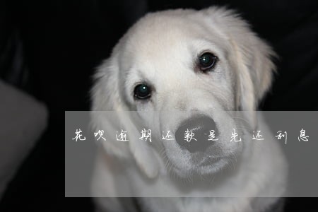 花呗逾期还款是先还利息还是本金 花呗逾期还款是先还利息还是本金