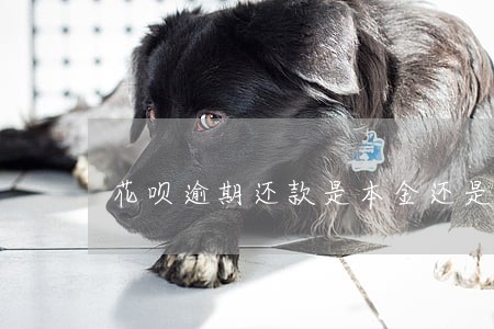 花呗逾期还款是本金还是利息 花呗逾期还款是本金还是利息