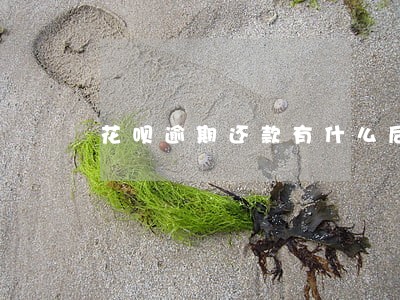 花呗逾期还款有什么后果 花呗逾期还款有什么后果