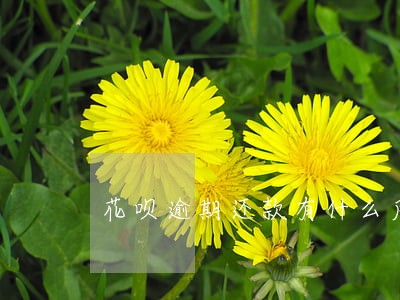 花呗逾期还款有什么后果严重