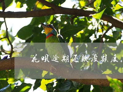 花呗逾期还款没额度 花呗逾期还款没额度