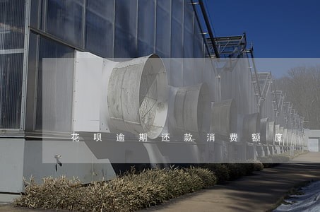 花呗逾期还款消费额度 花呗逾期还款消费额度