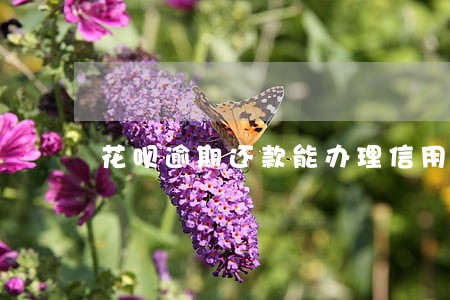 花呗逾期还款能办理信用卡吗