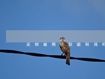 花呗逾期还款能取消吗 花呗逾期还款能取消吗