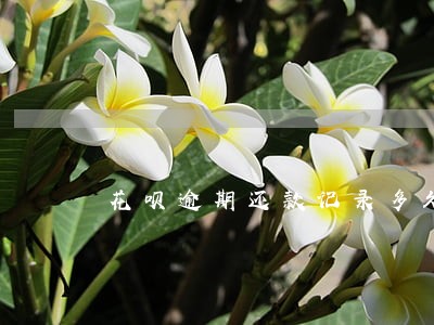 花呗逾期还款记录多久消除 花呗逾期还款记录多久消除