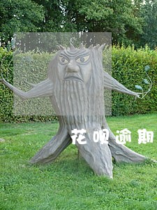 花呗逾期还款超过三万 花呗逾期还款超过三万
