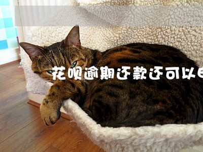 花呗逾期还款还可以申请信用卡 花呗逾期还款还可以申请信用卡