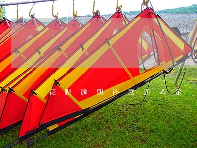 花呗逾期还款还本金 花呗逾期还款还本金