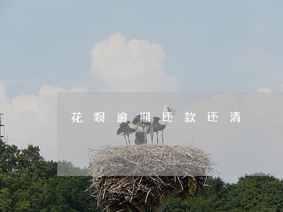 花呗逾期还款还清