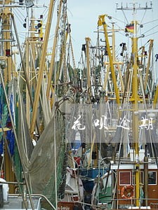 花呗逾期还款通道被关闭