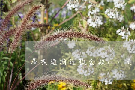花呗逾期还款金额12元 花呗逾期还款金额12元