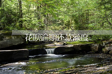 花呗逾期还款额度 花呗逾期还款额度