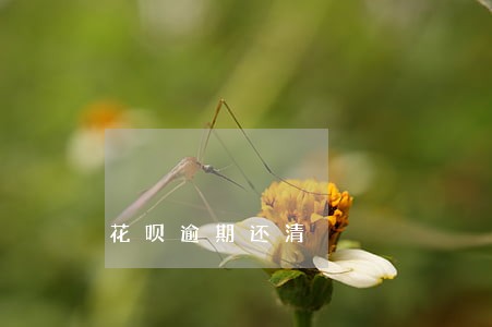花呗逾期还清