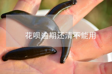 花呗逾期还清不能用 花呗逾期还清不能用